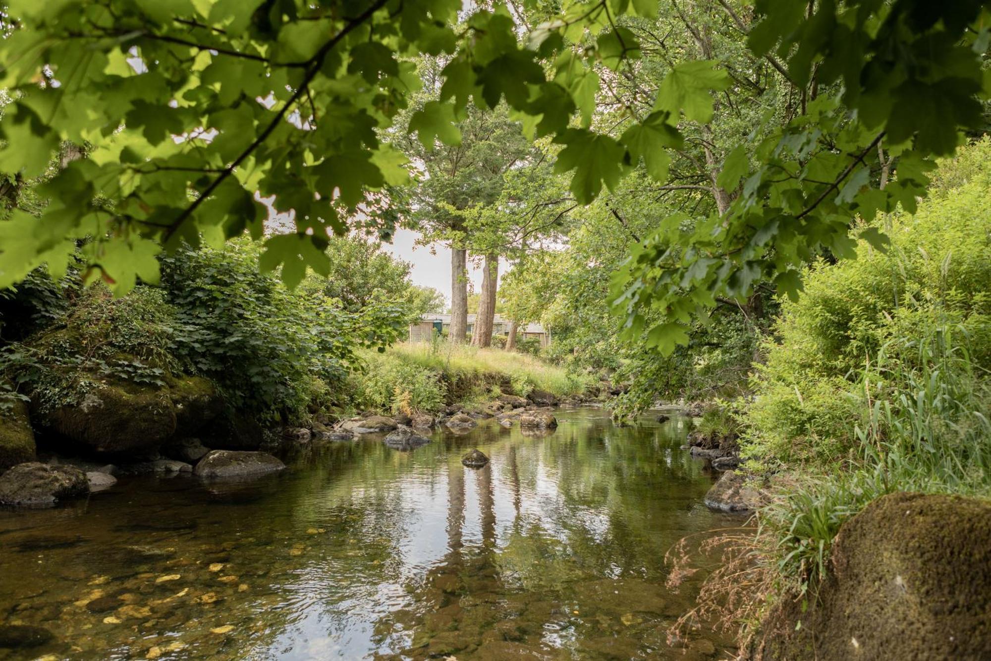 Afonfa - Llanuwchllyn Villa บาลา ภายนอก รูปภาพ
